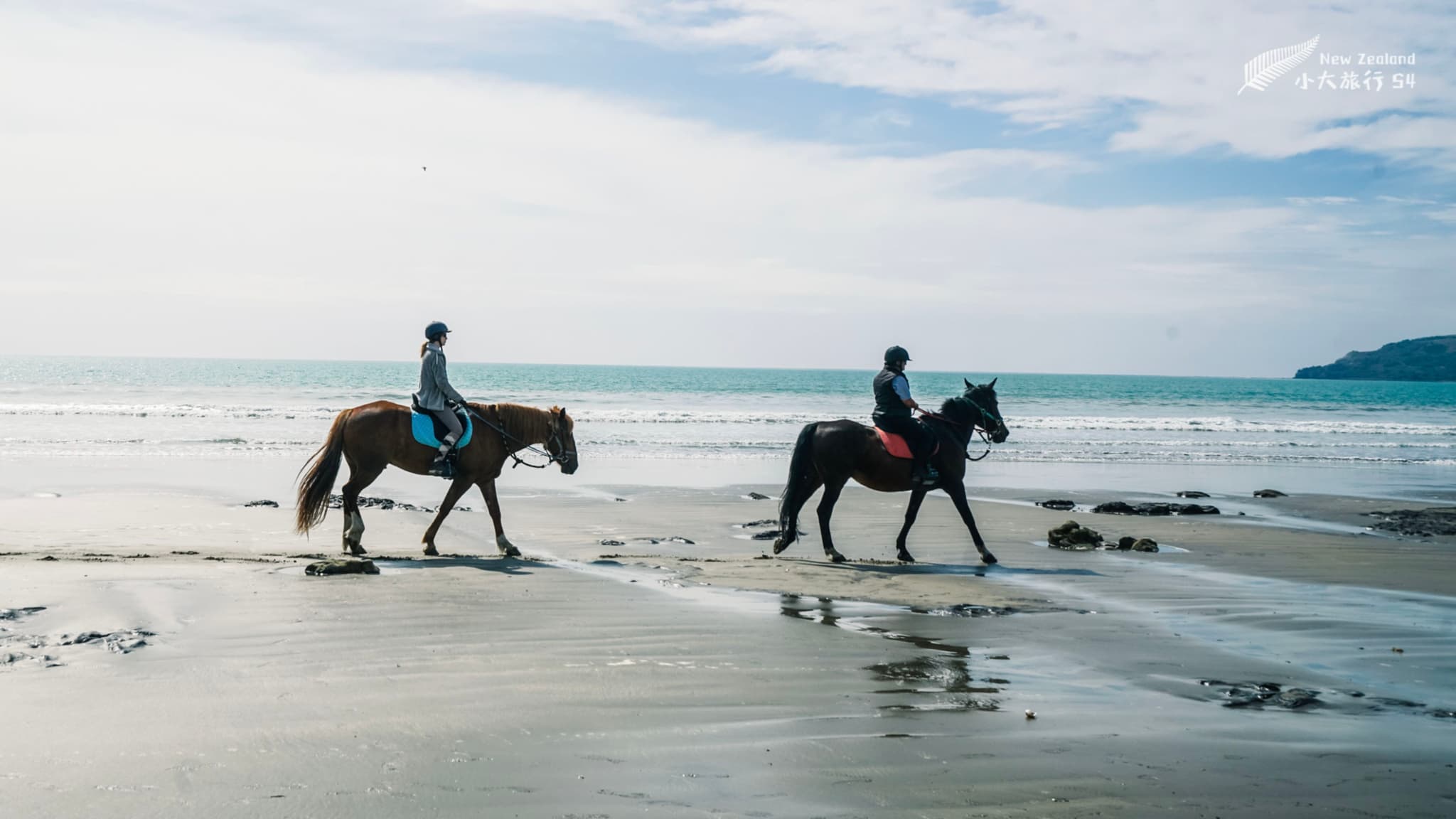 摩拉基海滩的马队