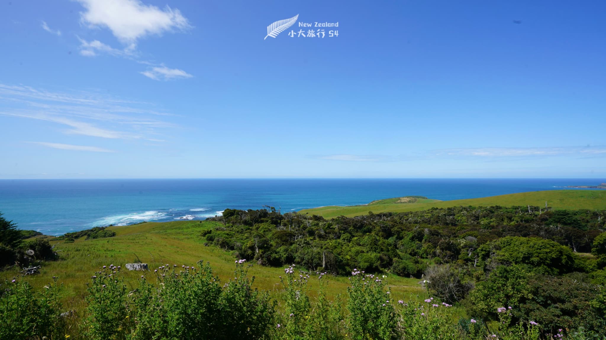 新西兰南岛Catlins海边
