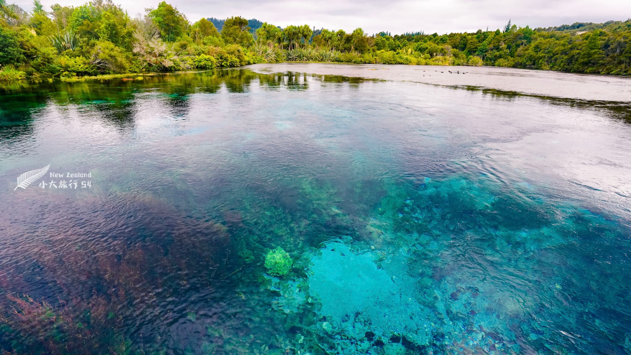 亚伯塔斯曼国家公园，清澈的噗噗泉