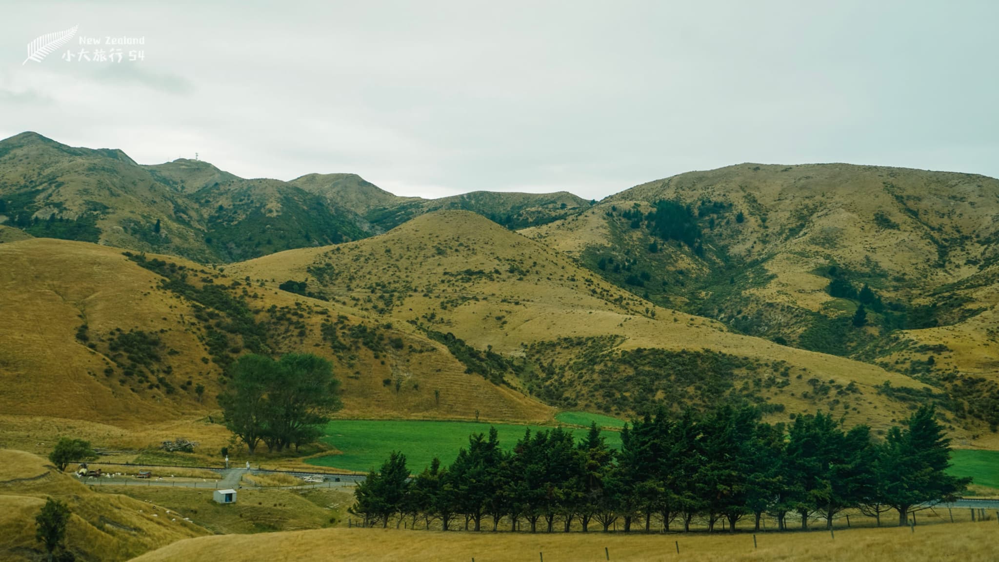 新西兰南岛奥马卡航空遗产博物馆