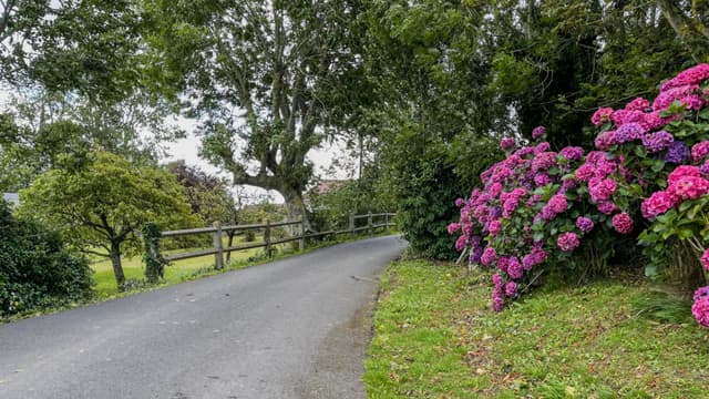 埃特勒塔乡村的花园
